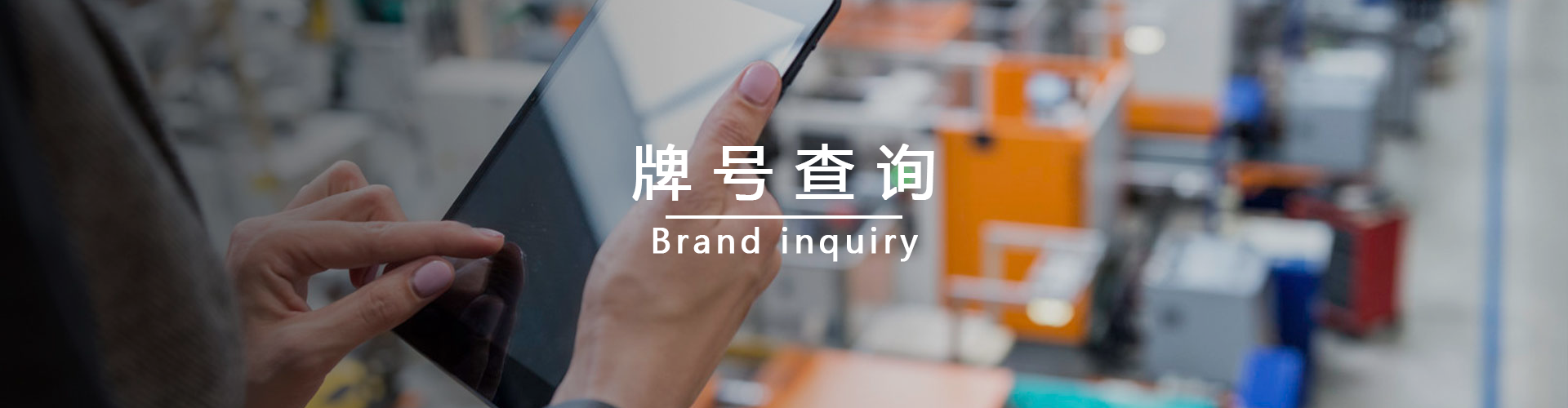 冷镦系列牌号
